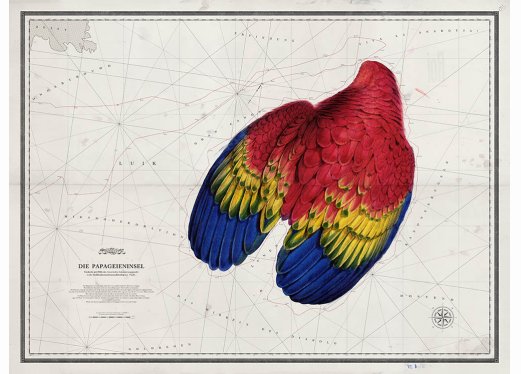 Die Papageieninsel Die Papageieninsel